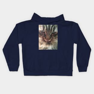 Iggie, The Adorable, Rescued Main Coon Kitten Kids Hoodie